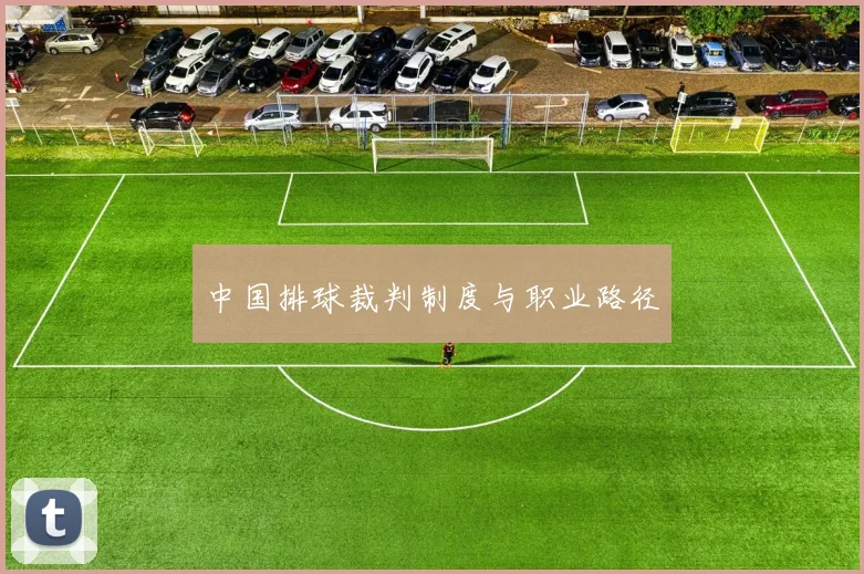 中国排球裁判制度与职业路径