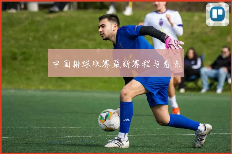 中国排球联赛最新赛程与看点