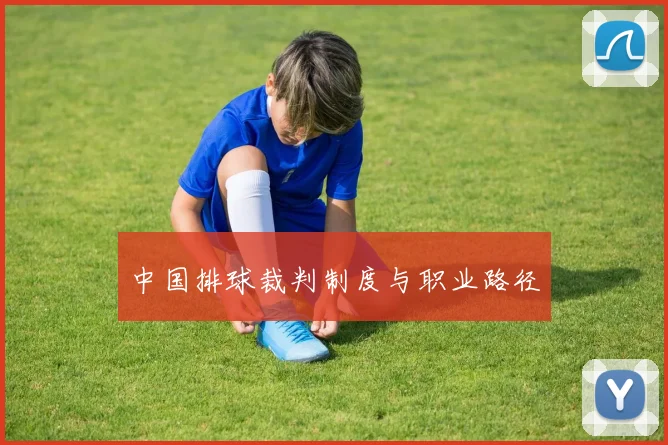 中国排球裁判制度与职业路径